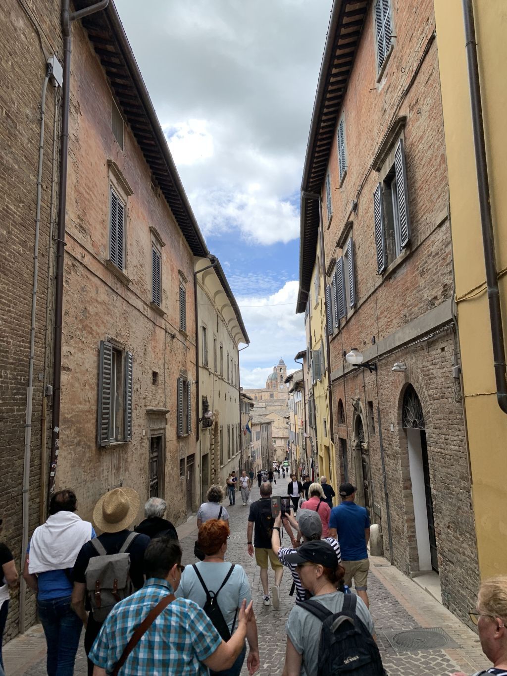 Urbino1
