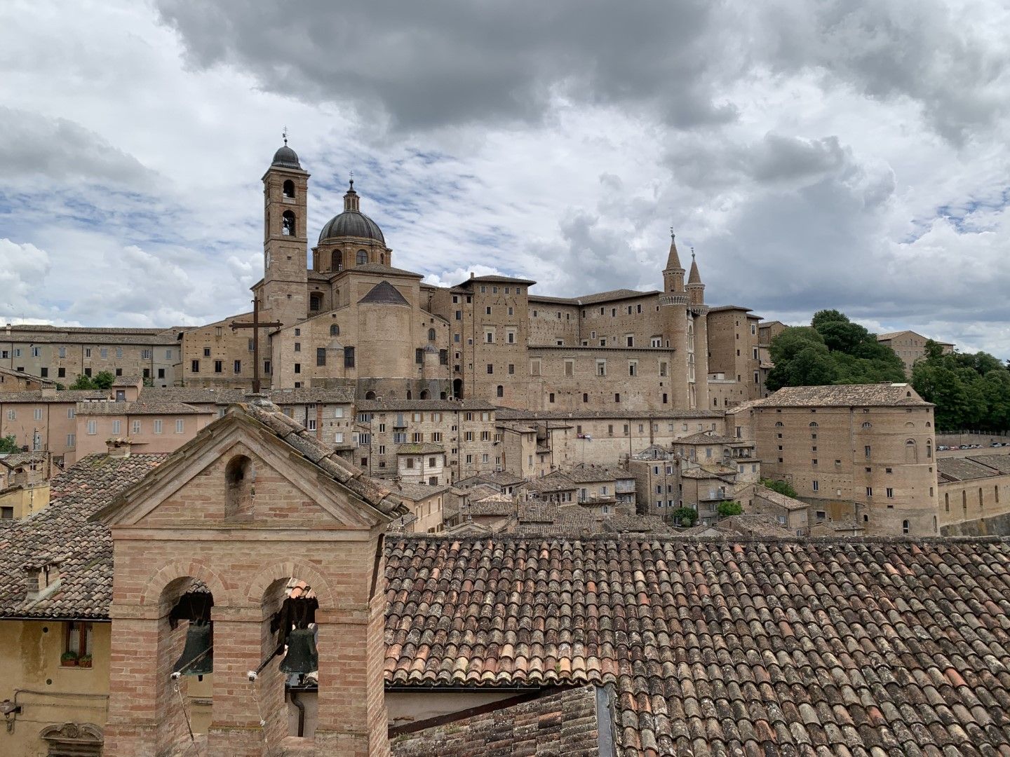 Urbino2 (Groß)
