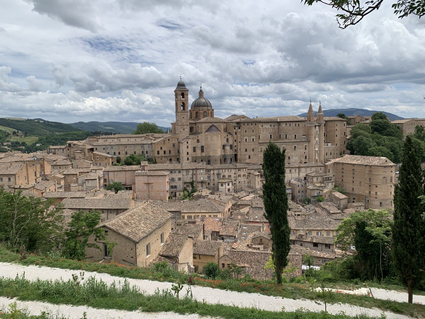 Urbino3 (Groß)